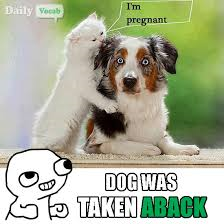 The Dog was take aback when the cat told him that she was pregnant.