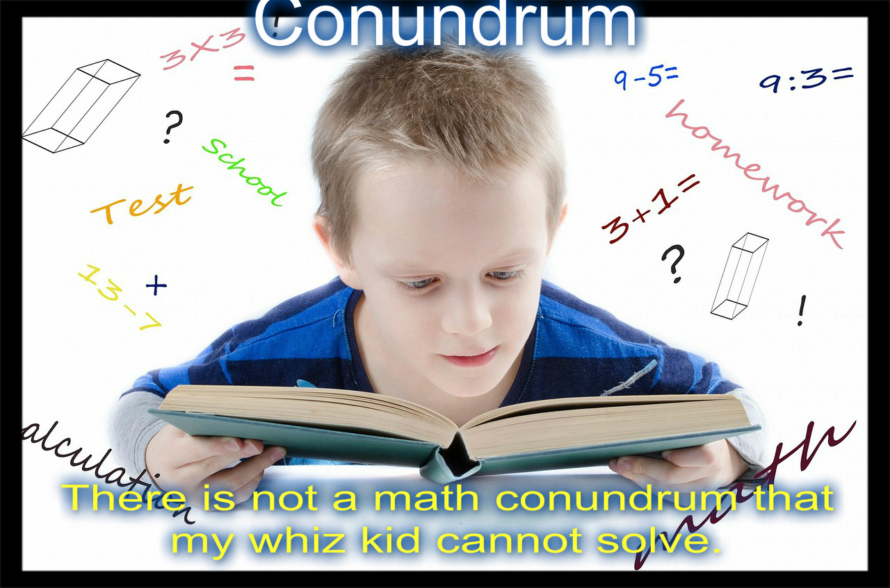 conundrum visual meaning definition sentence