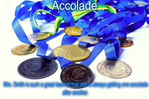 accolades medals lots of medals visual meaning definition dictionary sentence bragitoff
