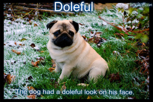 sad dog doleful meaning visual definition visual dictionary sentence with doleful bragitoff
