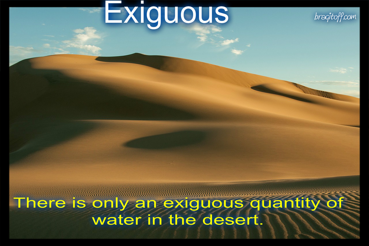 exiguous visual dictionary meaning definition
