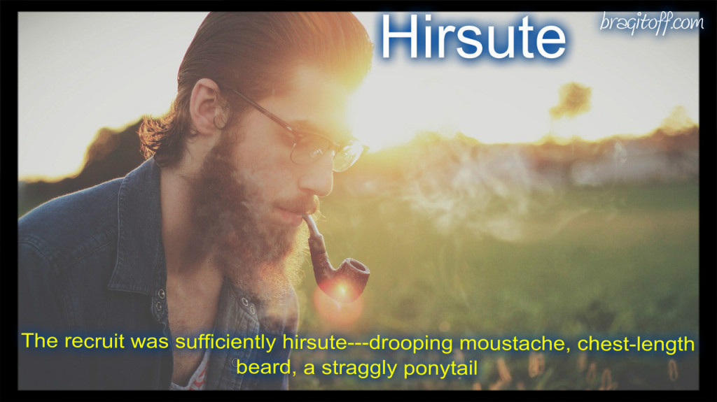 hirsute definition image sentence visual dictionary