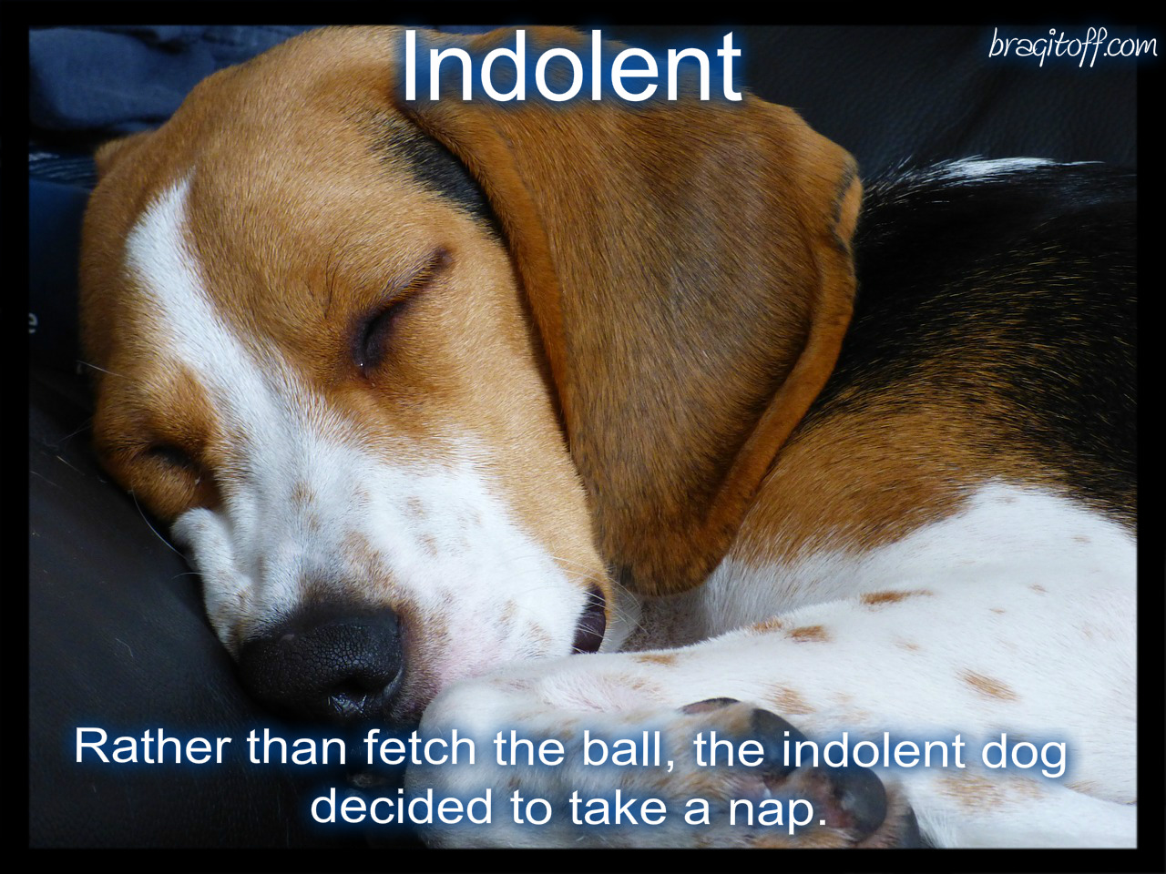 image sentence: Rather than fetch the ball, the indolent dog decided to take a nap.  