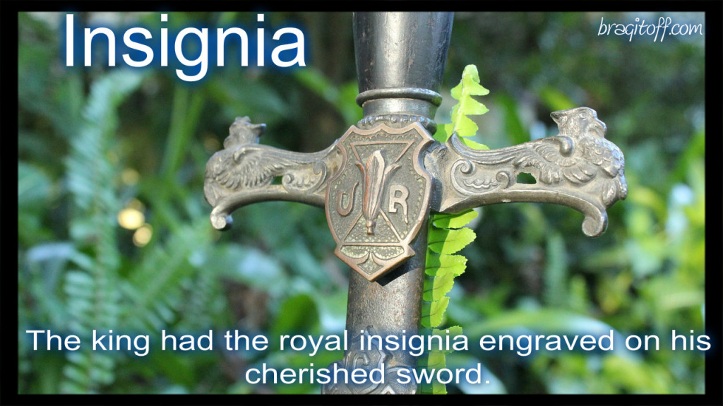 Royal sword in the ground with engravings
