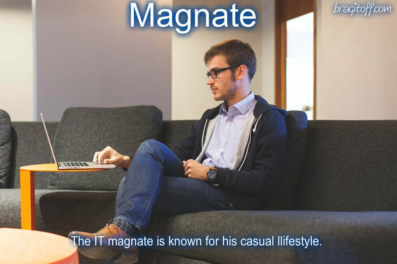 define magnate visual definition image sentence example meaning