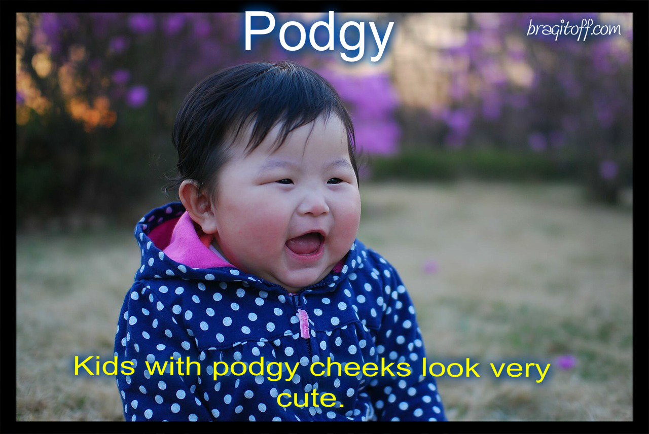 podgy definition image sentence visual dictionary bragitoff