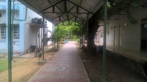 sheds protect rains sheild prevent andc Front view pic of ANDC Acharya Narendra dev college picture clean and beautiful green