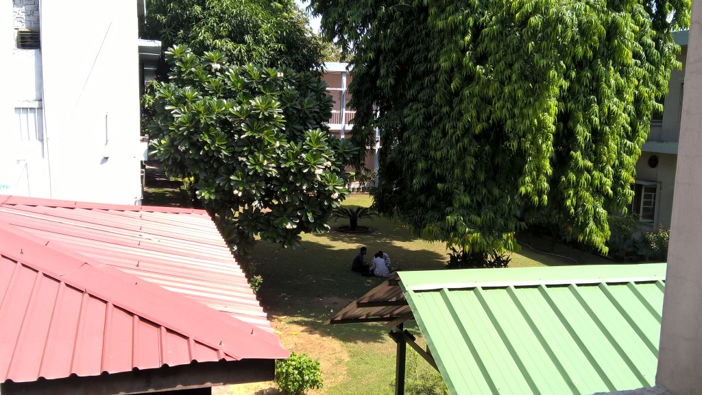 Acharya Narendra dev college andc du delhi university picture image